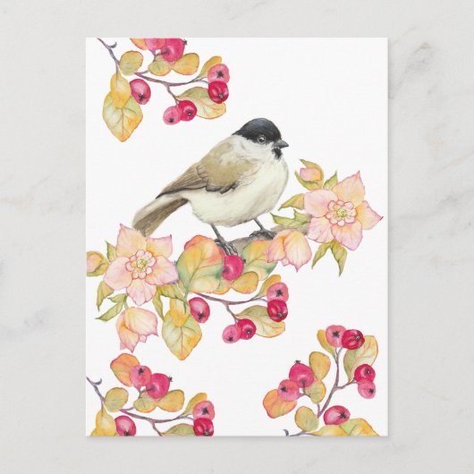 Watercolor Marsh Tit Postkarte (Vorderseite)