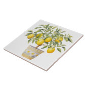 Watercolor Mediterranean  Fliese (Seite)