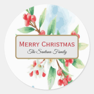 Watercolor Mistletoe on Blue and White Background Runder Aufkleber