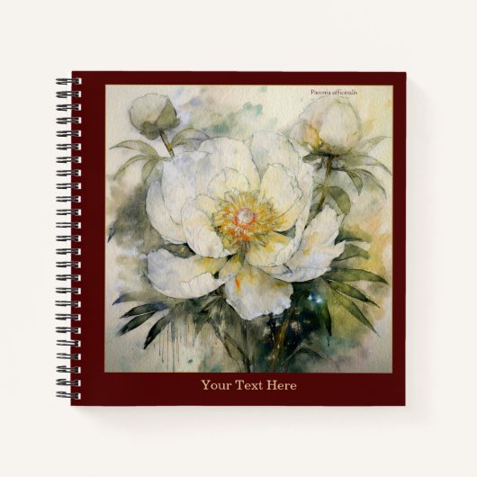 Watercolor Paeonia Officinalis Notebook #1 Notizblock (Vorderseite)
