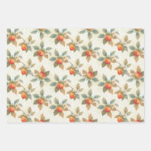 Watercolor Persimmon Fruit and Flowers  Geschenkpapier Set (Vorderseite 2)