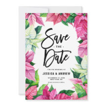 Watercolor Pink Poinsettia Winter