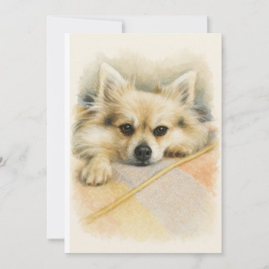 Watercolor Pomeranian Chihuahua Dog Portrait Dankeskarte (Vorderseite)