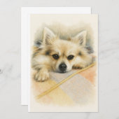 Watercolor Pomeranian Chihuahua Dog Portrait Dankeskarte (Vorne/Hinten)