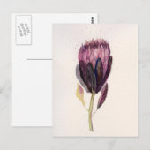 Watercolor Protea Postkarte (Vorne/Hinten)