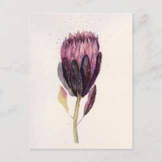 Watercolor Protea Postkarte