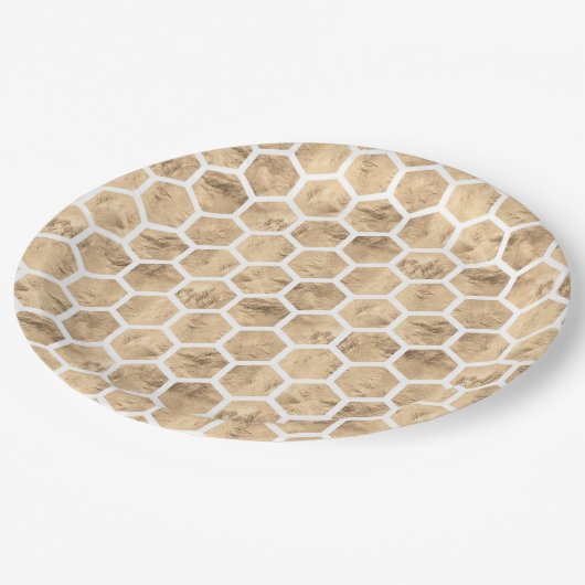 Watercolor-Rose-Wabenmuster Pappteller (Schrägansicht)