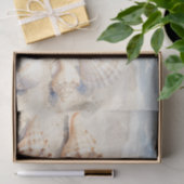 Watercolor Seashells Beach Scene Seidenpapier (Geschenk)