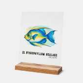 Watercolor Series: Angelfish Acrylschild (Winkel)