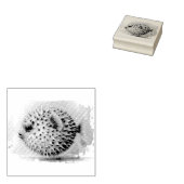 Watercolor Series: Blowfish Gummistempel (Stempel)