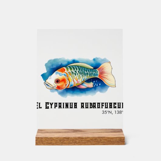 Watercolor Series: Koi Fish Acrylschild (Vorderseite)