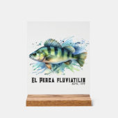 Watercolor Series: Perch Acrylschild (Vorderseite)