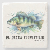 Watercolor Series: Perch Steinuntersetzer (Vorderseite)