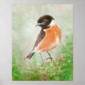 Watercolor Stonechat Bird  Nature Art Poster (Vorne)