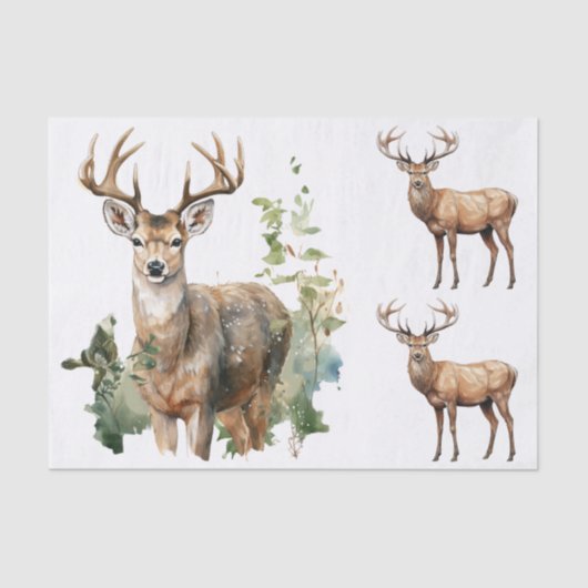 Watercolor Style Illustrations - 3 Male Deer Bucks Seidenpapier (Vorderseite)