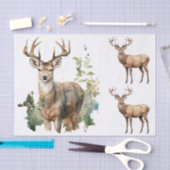 Watercolor Style Illustrations - 3 Male Deer Bucks Seidenpapier (Handwerk)