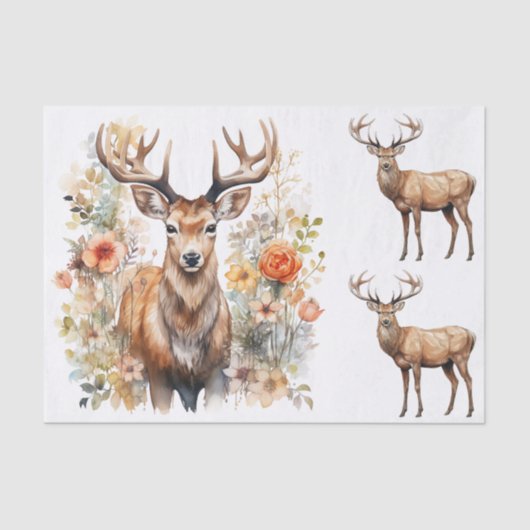 Watercolor Style Illustrations of Male Deer Bucks Seidenpapier (Vorderseite)