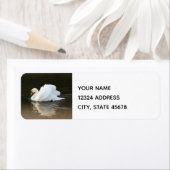 Watercolor Swan (Insitu)