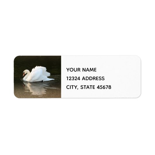 Watercolor Swan (Vorne)