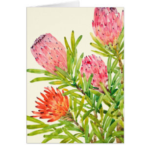Watercolor-tropische Blumen