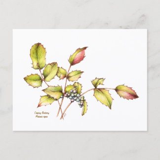 Watercolor wildflower barberry postcard postkarte
