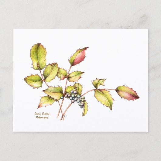 Watercolor wildflower barberry postcard postkarte (Vorderseite)