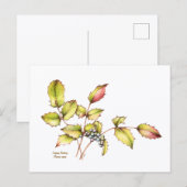 Watercolor wildflower barberry postcard postkarte (Vorne/Hinten)