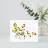 Watercolor wildflower barberry postcard postkarte (Stehend Vorderseite)