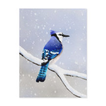 Watercolor Winter Snow Bird Blue Jay