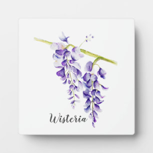 Watercolor Wisteria Locarno Fotoplatte