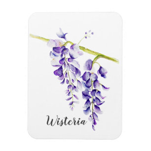 Watercolor Wisteria Locarno Magnet