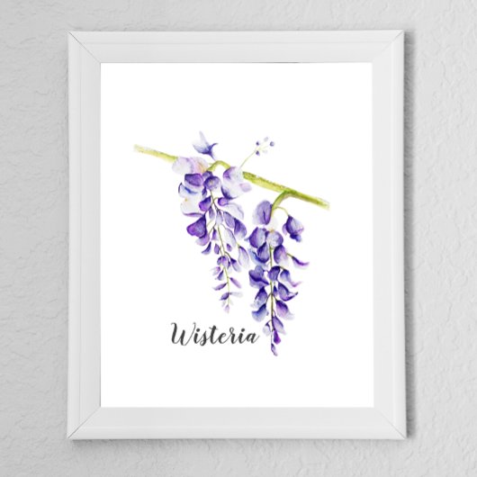 Watercolor Wisteria Locarno Poster