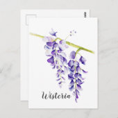 Watercolor Wisteria Locarno Postkarte (Vorne/Hinten)
