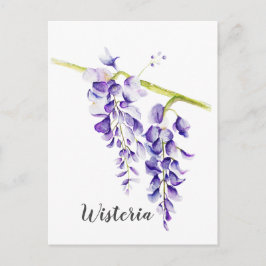 Watercolor Wisteria Locarno Postkarte