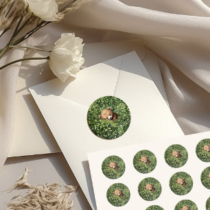 Watercolor Woodland Bear Neutral Baby Dusche Runder Aufkleber