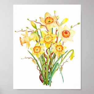 Watercolorfrühlings-Blumennarzisse Poster