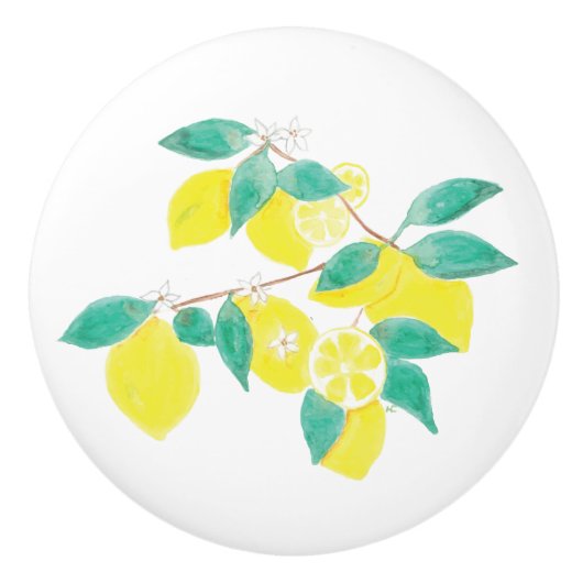 Watercolorzitronen-Keramikgriff Keramikknauf (Vorderseite)