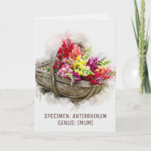 Watercolour Blooms | Snapdragon Witty Muttertag