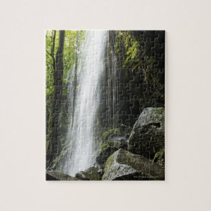 Waterfal, im Regenwald, Dominica, Smaragdpool Puzzle