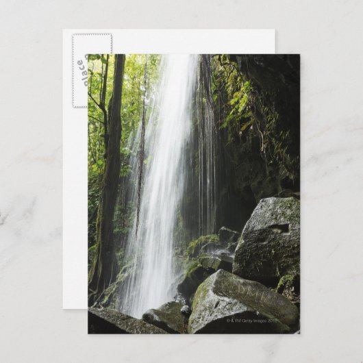 Waterfal, in rainforest, Dominica, Emerald Pool Postkarte (Vorne/Hinten)
