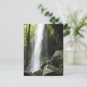 Waterfal, in rainforest, Dominica, Emerald Pool Postkarte (Stehend Vorderseite)