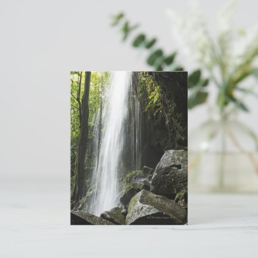 Waterfal, in rainforest, Dominica, Emerald Pool Postkarte (Stehend Vorderseite)