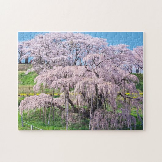 waterfall cherry blossom tree puzzle (Horizontal)