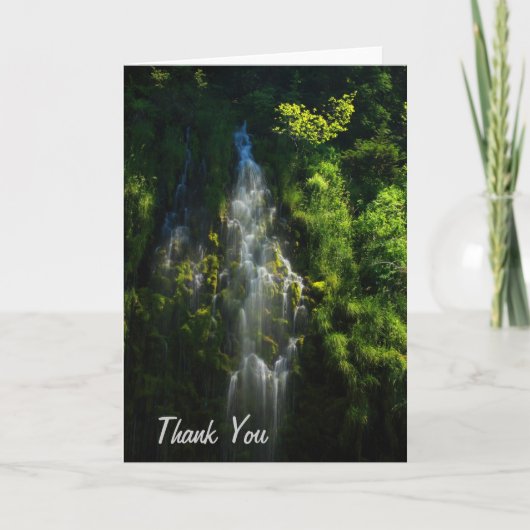WATERFALL DANKE (Vorderseite)