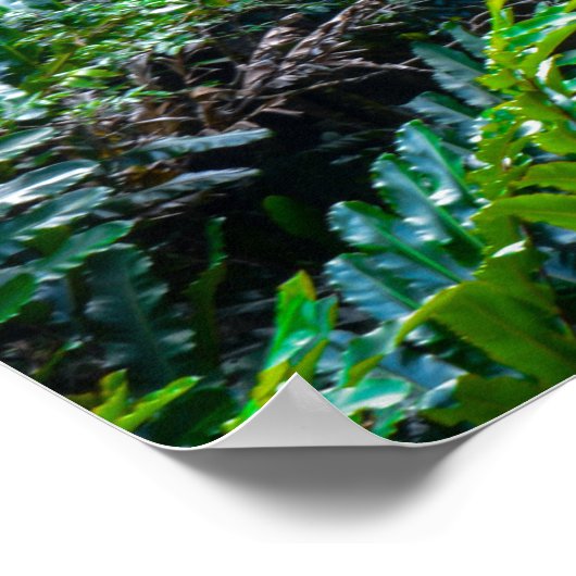 Waterfall in Maui Hawaii Poster (Ecke)