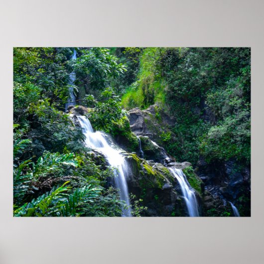 Waterfall in Maui Hawaii Poster (Vorne)