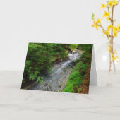 Waterfalls | Cuyahoga Valley Ohio Karte (Gelbe Blume)