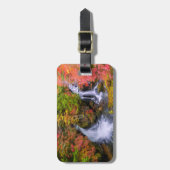 Waterfalls | Faucet Waterfalls Nikko Japan Fall Gepäckanhänger (Vorderseite vertikal)