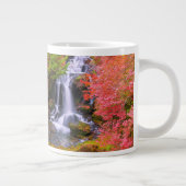 Waterfalls | Faucet Waterfalls Nikko Japan Fall Jumbo-Tasse (Rechts)