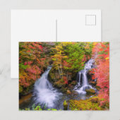 Waterfalls | Faucet Waterfalls Nikko Japan Fall Postkarte (Vorne/Hinten)